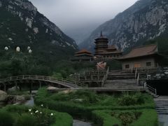 -禅宗少林·音乐大典