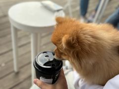 -BLATAGE COFFEE