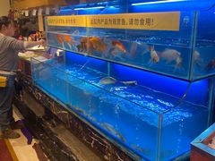 水产区-芭菲盛宴·环球美食(袁家岗店)