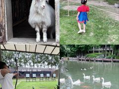 -乌村