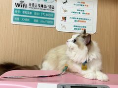 -谐和贝康宠物医院24小时·宠保定点(急重症转诊中心)