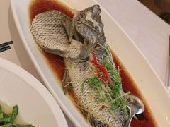 -骏莱海鲜鱼港(五角场店)