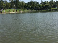 -美兰湖景区