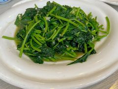 蒜蓉萝卜苗-369美食(清凉峡路店)