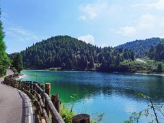 -武陵山森林公园