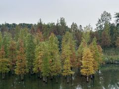 -白鹭湾湿地公园