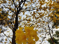 -中国移动南方基地