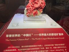 -湖南省地质博物馆