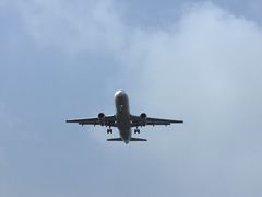 -空港花田景区