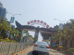 -深圳野生动物园