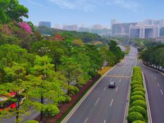 -玉树公园