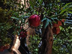 -茅庐·川粤精品私房菜(金沙遗址店)