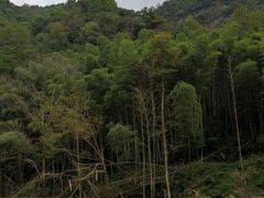 -磐安十八涡风景区