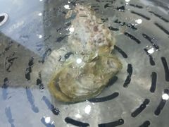 -必点蒸汽海鲜(止锚湾店)