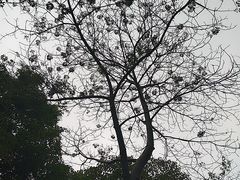-云溪植物园