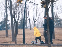 -洨河生态公园
