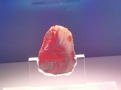 -北京大葆台遗址博物馆