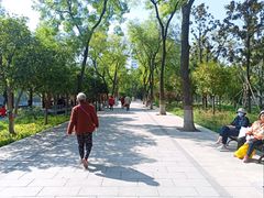 -莲湖公园