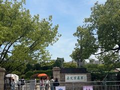 -嘉定紫藤园