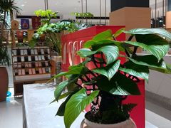 -红鼎豆捞·非遗鲍皇汤火锅(宝丰路店)