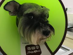 -哆趣宠物医院·眼科·内镜·急重症转诊中心(上海店)