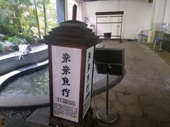 -汇雅温泉