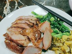 -乌文新澄海卤鹅店