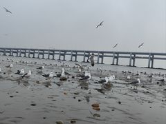 -黑石礁公园