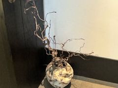 -中央公园(苏州工业园区)