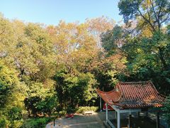 -梅州天地人花园酒店(梅县人民广场店)