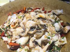 -百岁鱼(望月路店)