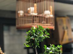 -乌江鱼杭帮菜(西湖店)