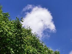 -清真牛街祥云轩门钉肉饼(左家庄店)