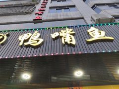 -鸭嘴鱼