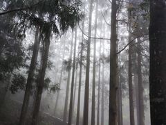 -太姥山风景名胜区