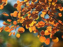 -香山公园-东宫门售票处