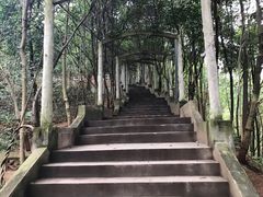 景点-成都老君山