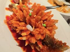 -醉庐·新上海菜(南京西路店)