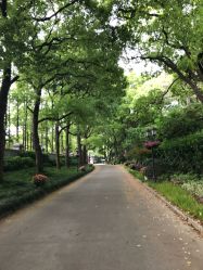 -虹桥迎宾馆·宴会厅