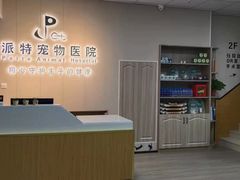 -派特宠物医院(海岸城店)