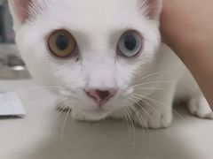 -美联众合24小时·皮肤科·外科·全科诊疗中心(华苑分院)