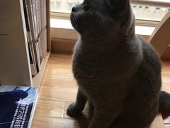 猫猫！-壹人壹像工作室(购物公园店)