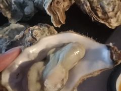 -望海观澜海景音乐餐吧(帆船基地店)