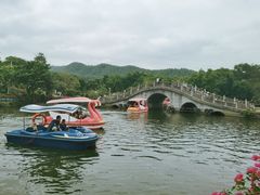 -大屏嶂森林公园