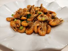 -海派铜锣湾(打浦路店)