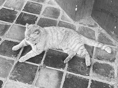 -平安桥天主教堂