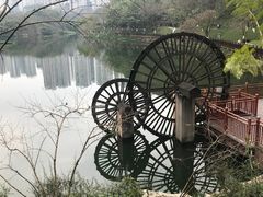 -重庆彩云湖湿地公园