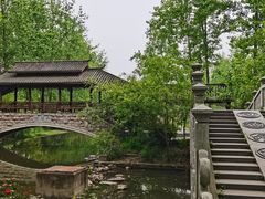 -合肥滨湖国家森林公园