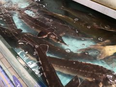 -济南海鲜大市场