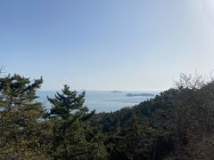 -新世纪绿洲(抚顺店)